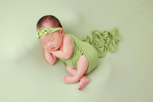 新昌陕西助孕公司名单揭晓助孕行业新动向